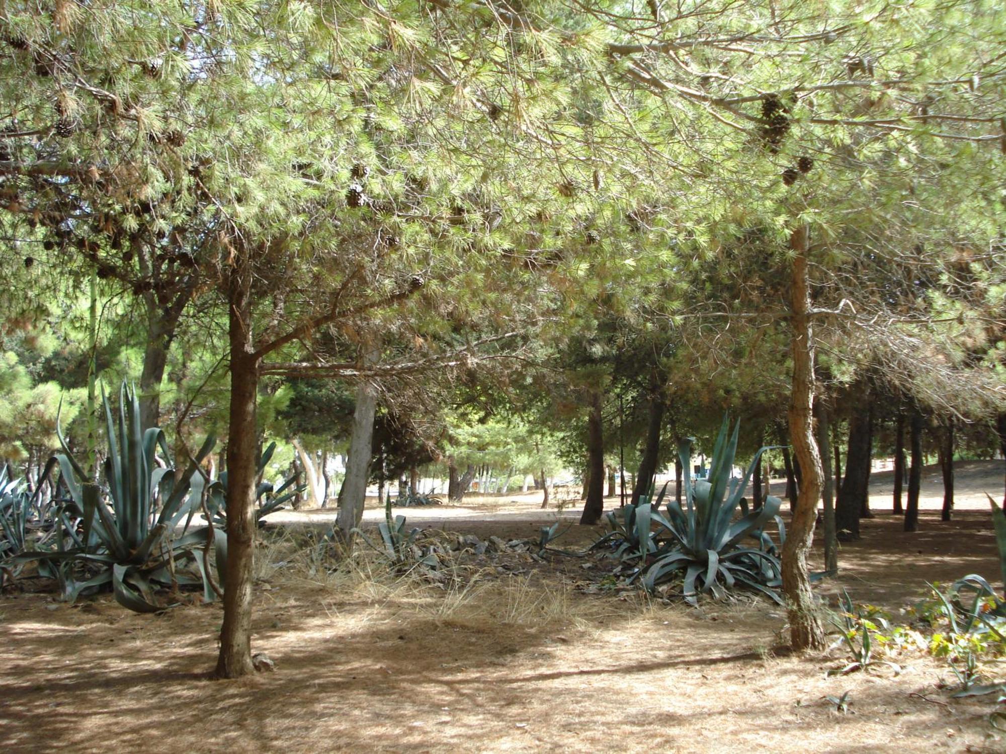 شقة Zinovia كاتو ذاراتسو الغرفة الصورة