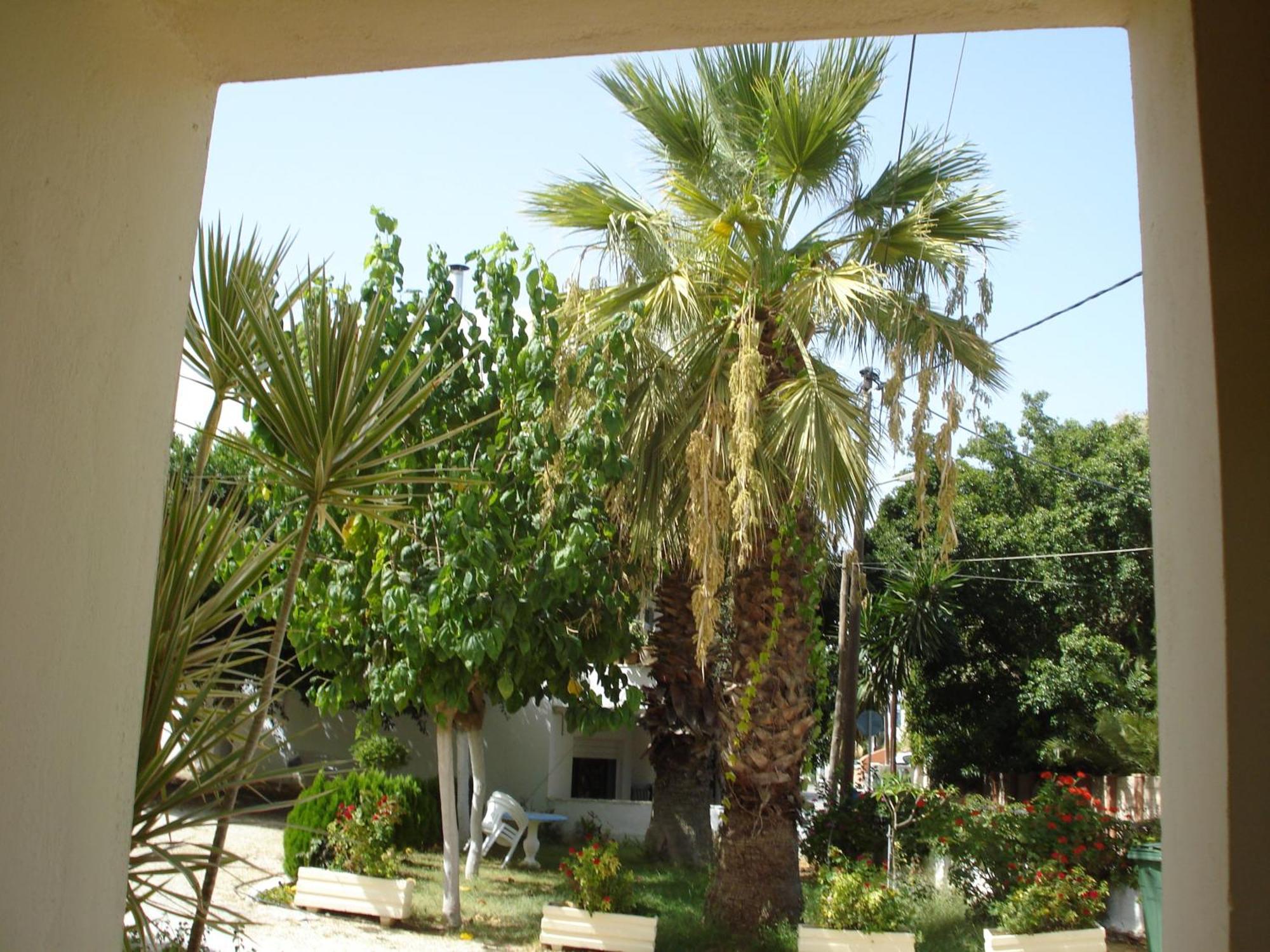 شقة Zinovia كاتو ذاراتسو المظهر الخارجي الصورة