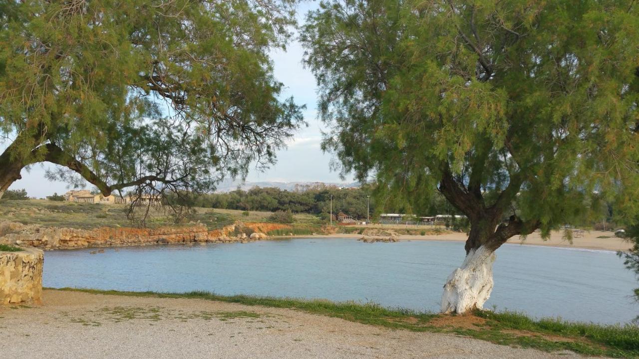 شقة Zinovia كاتو ذاراتسو المظهر الخارجي الصورة